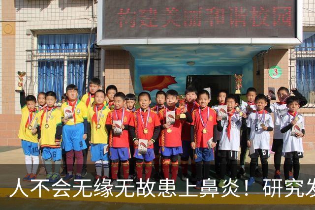 人不会无缘无故患上鼻炎！研究发现：得鼻炎的人，背后有5个因素